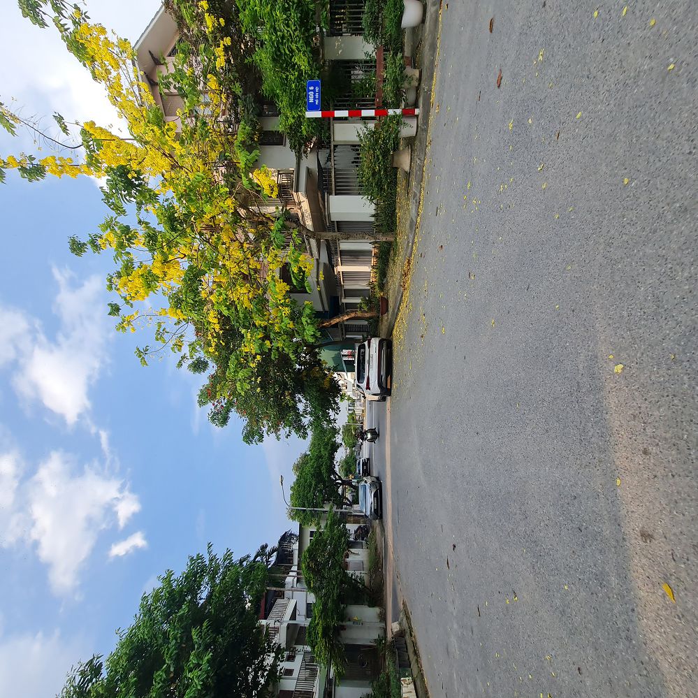 60m2 Tái định cư Trâu Quỳ, Gia Lâm, Hà Nội. Đường 13m thông dự án. Lh 0989894845 - Ảnh 2